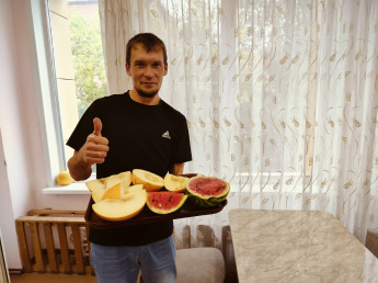 Наш огород - собираем урожай