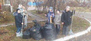 Акция "Чистый двор"