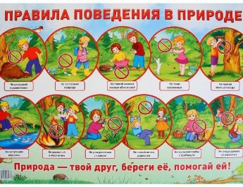Правила поведения в природе